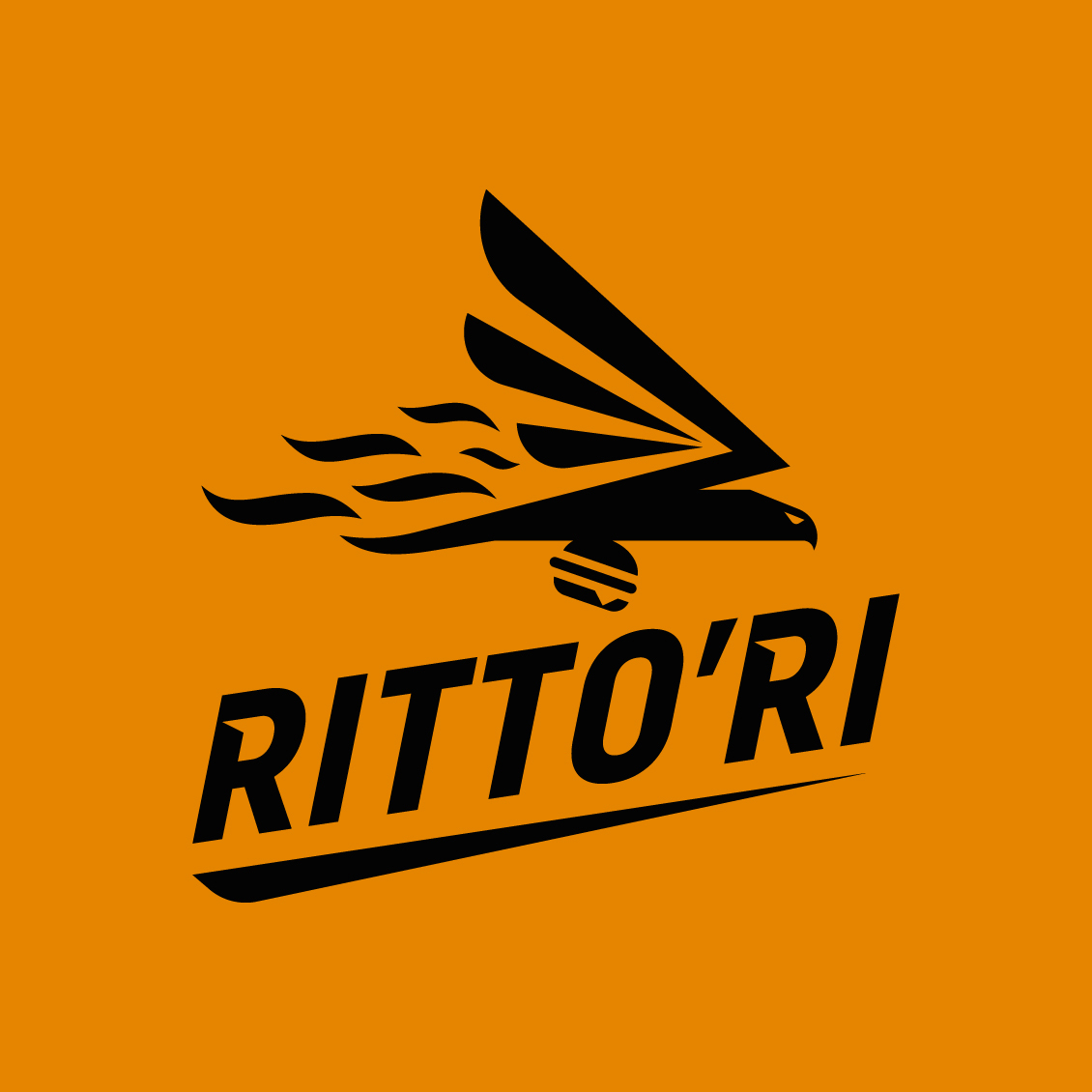 Логотип RITTO’RI
